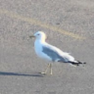 Meet your Posher, Jeremi